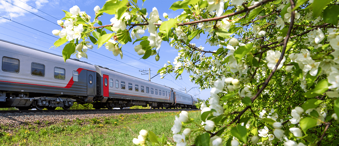 Внутренний аудит